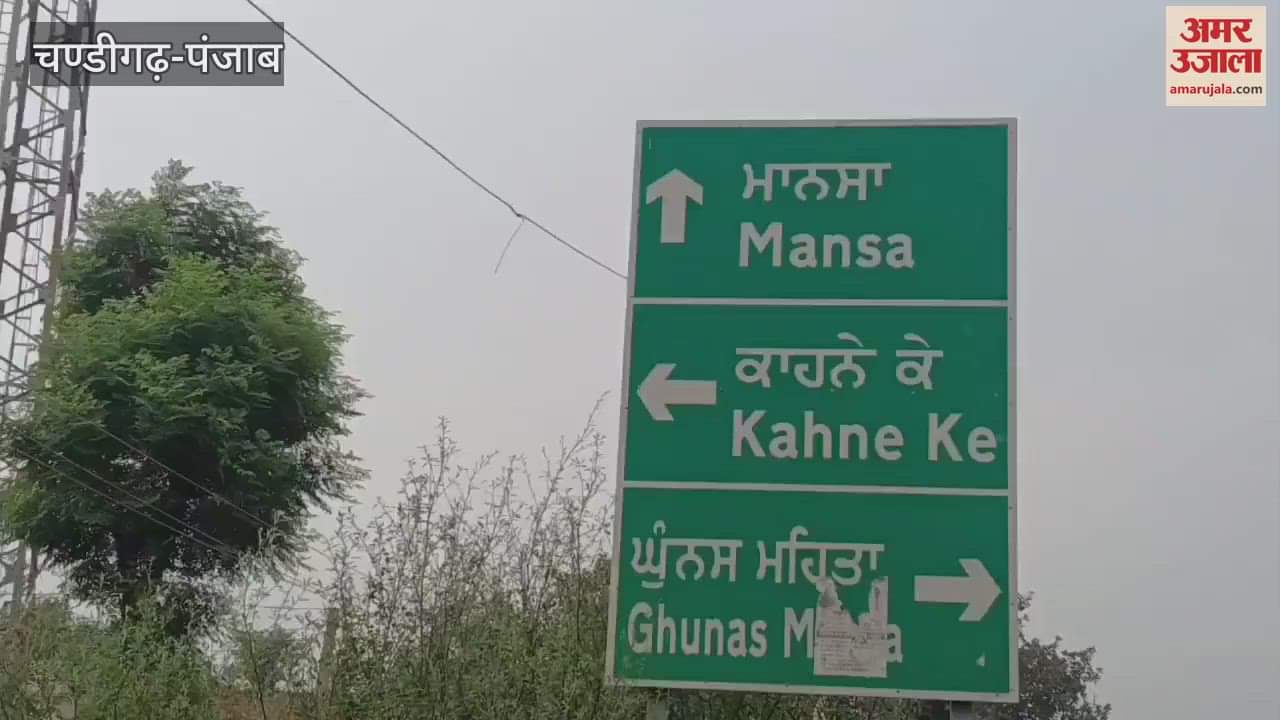 300 acres of crops destroyed by water in Barnala