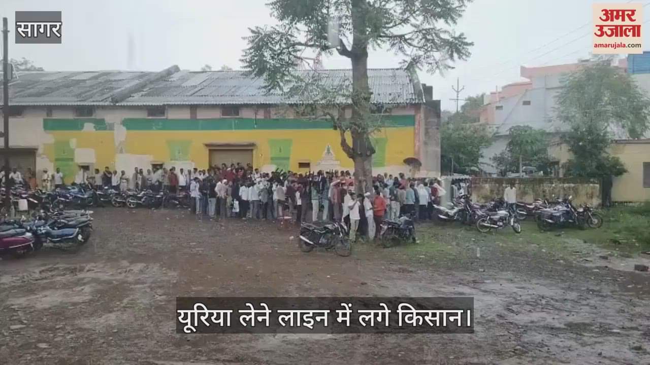 Sagar News: Farmers are facing shortage of urea