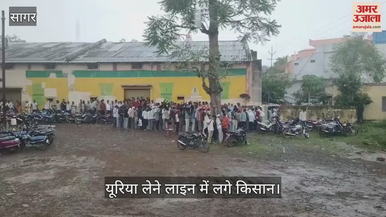 Sagar News: Farmers are facing shortage of urea
