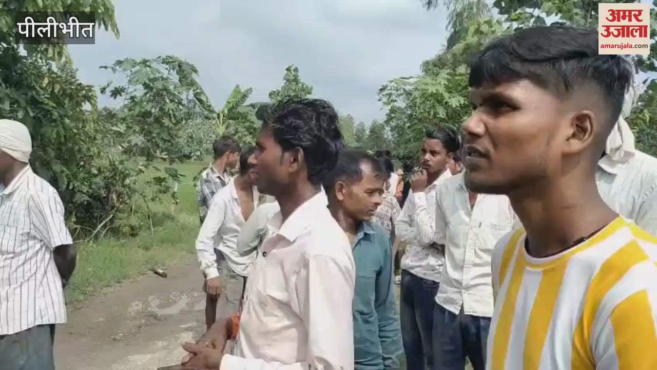 r killing the farmer in Pilibhit, the tigers camped around the village