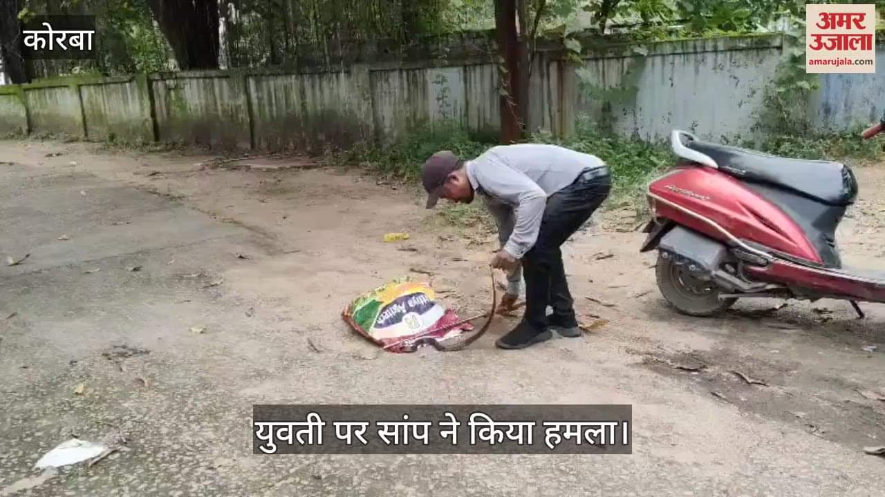 snake attacked a girl while she was cooking in Korba the cooker was saved from exploding