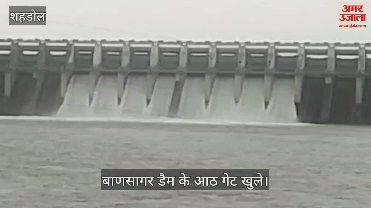 Eight gates of Bansagar Dam opened for the fourth time, water level crossed 81%