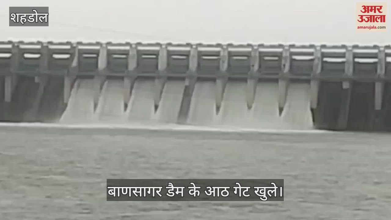Eight gates of Bansagar Dam opened for the fourth time, water level crossed 81%