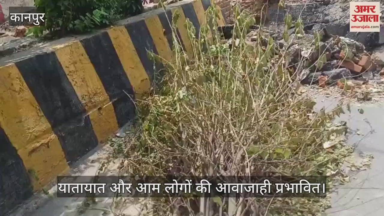 कानपुर में लाल इमली से परेड की तरफ माल रोड में धंसा डॉट नाला