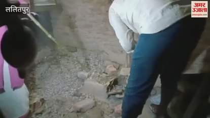 16 poisonous snakes found in house in 14 hours