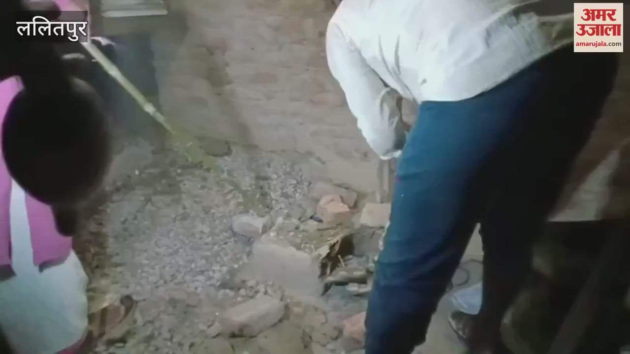 16 poisonous snakes found in house in 14 hours