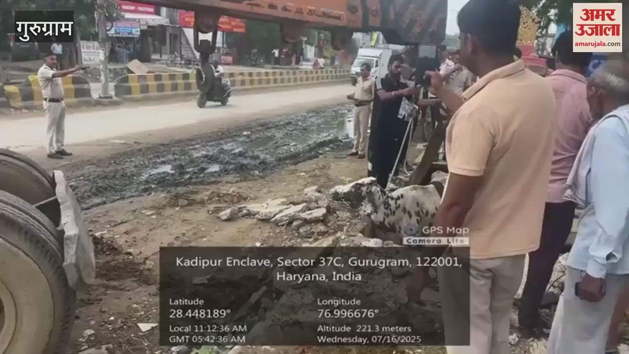 Gurugram traffic police and citizens together rescued the cow safely from the drain