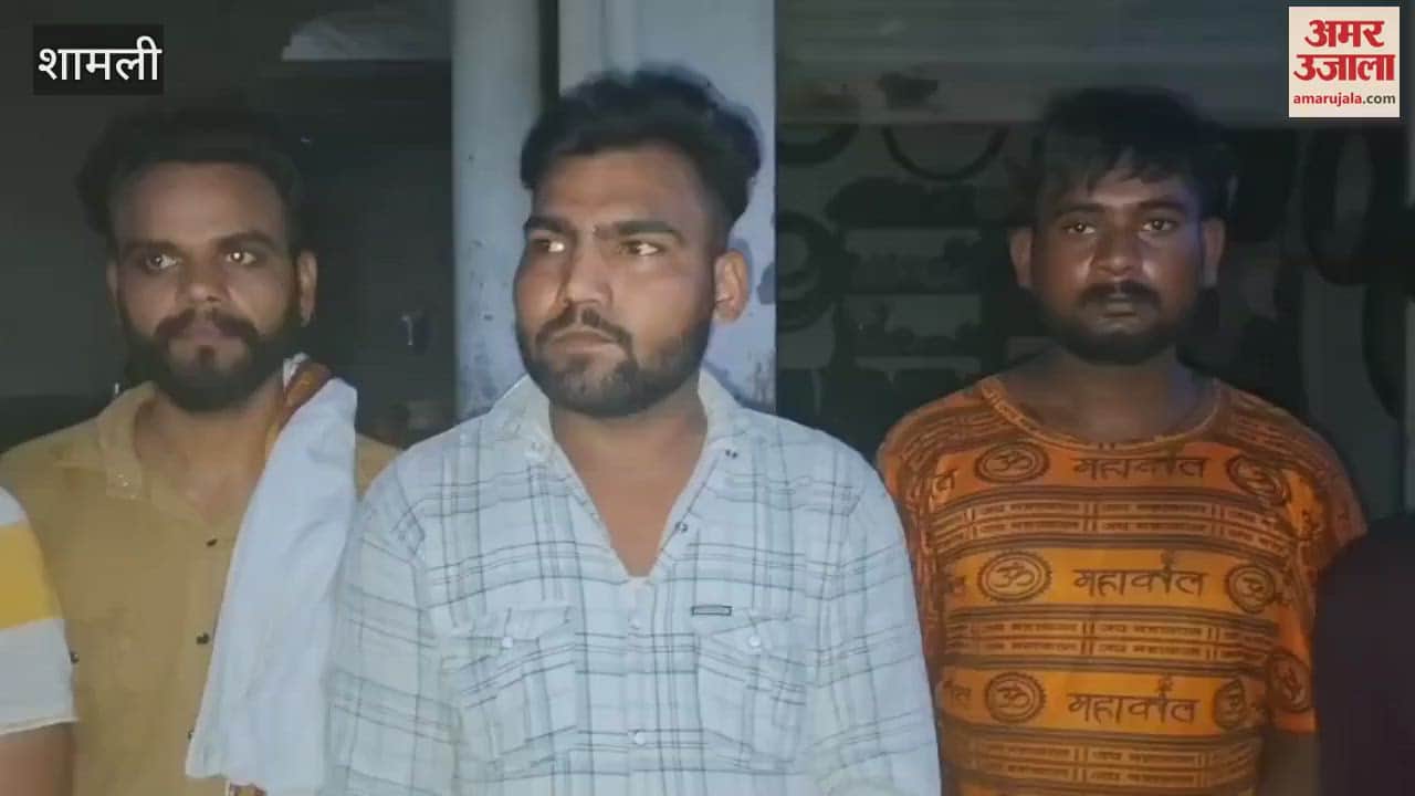 Shamli: Death of sick cattle, Shiv Sena's uproar