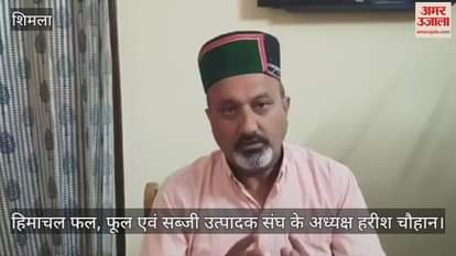 Shimla: Harish Chauhan said- a solution should be found for small and landless farmers and gardeners