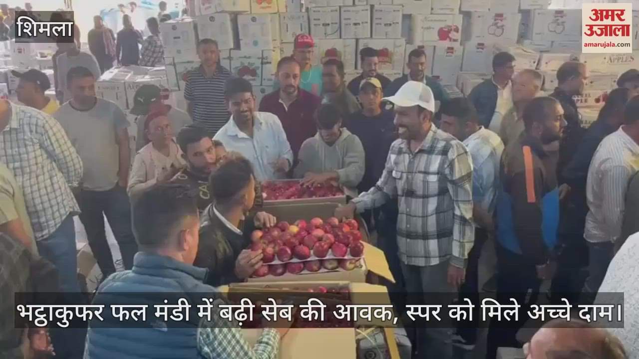 Arrival of apples increased in Bhattakufar fruit market, spur apples got good prices