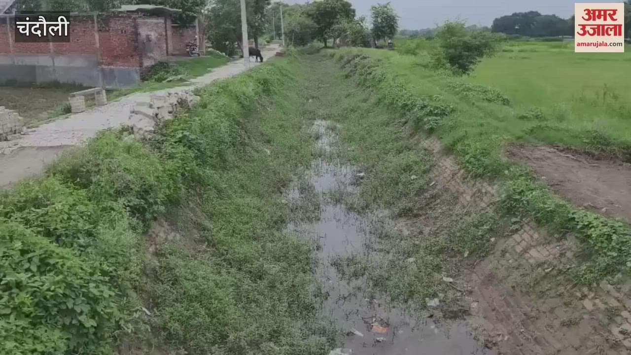 canal has not been cleaned how will irrigation be done VIDEO