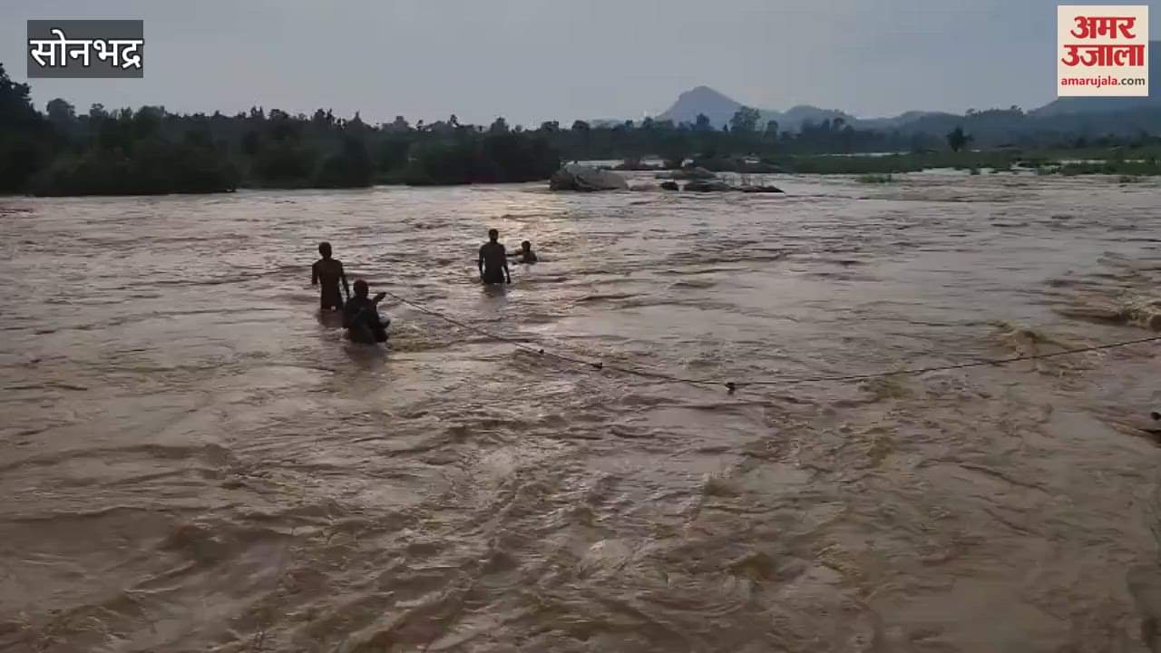 He crossed the river to pluck berries got stuck on island for four hours