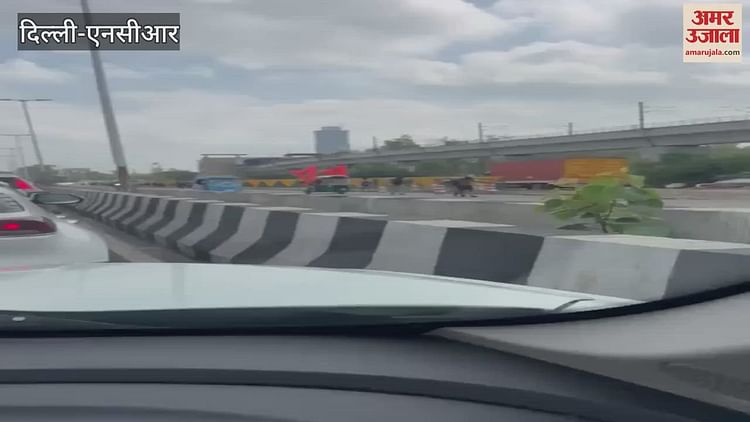 Traffic Jam Between Kalindi Kunj And Noida – Amar Ujala Hindi News Live