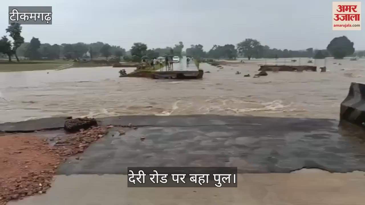 Rain havoc continues in Tikamgarh district, schools closed, bridge broken