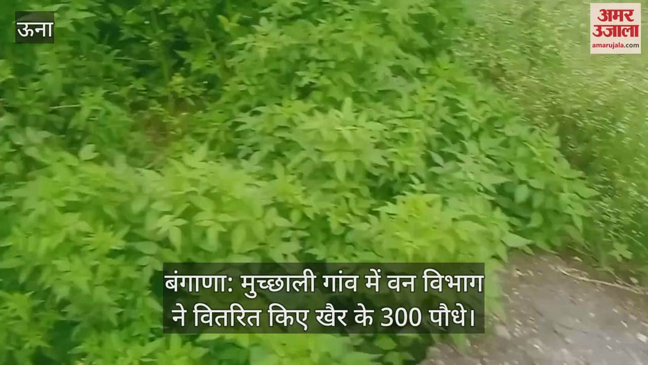 Bangana: Forest department distributed 300 Khair plants in Muchhali village