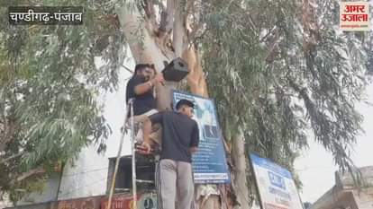 Arora Mahasabha installed nests for birds on trees in Jeera
