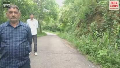 Una Five Khair trees were cut from the government reserve forest in Dhaduhi forest department started investigation