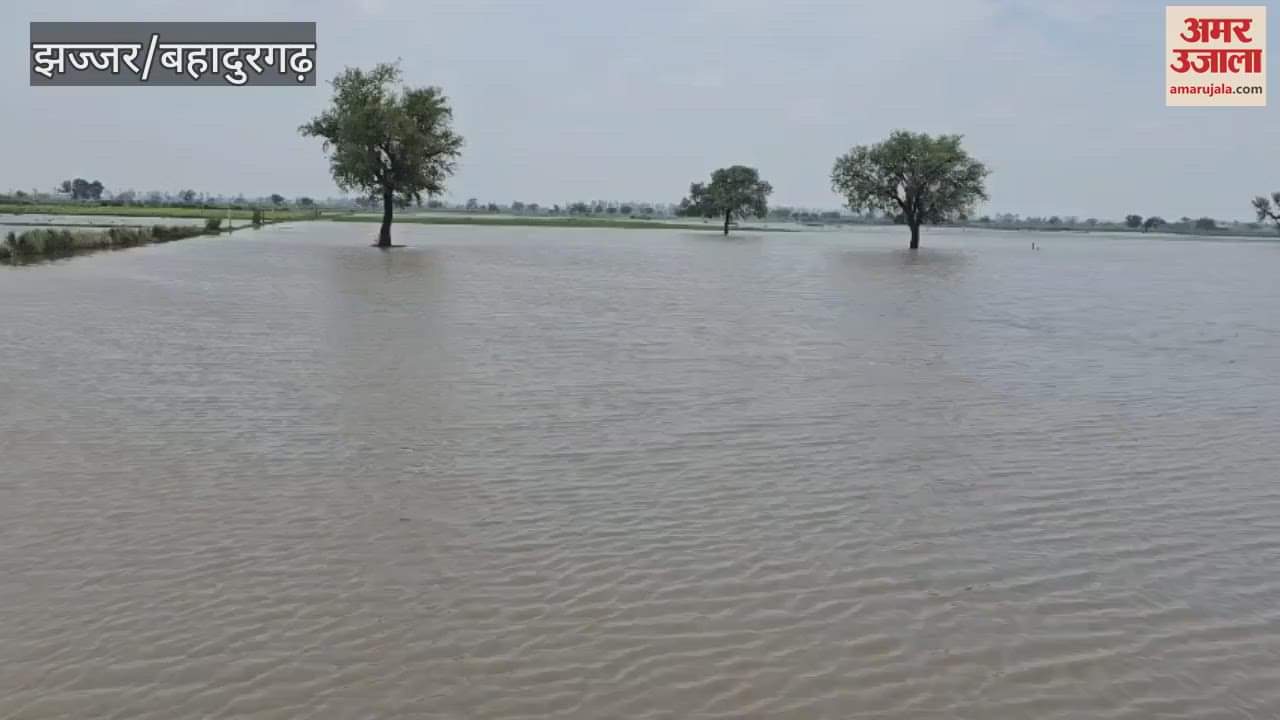 Water entered the fields of Kondravali village of Jhajjar