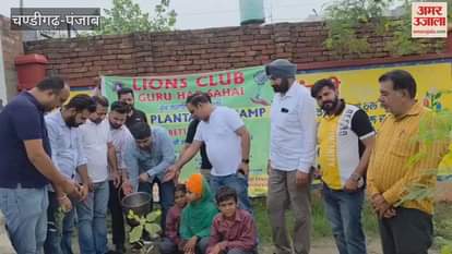 Guruharsahaye Lions Club planted trees in a government school