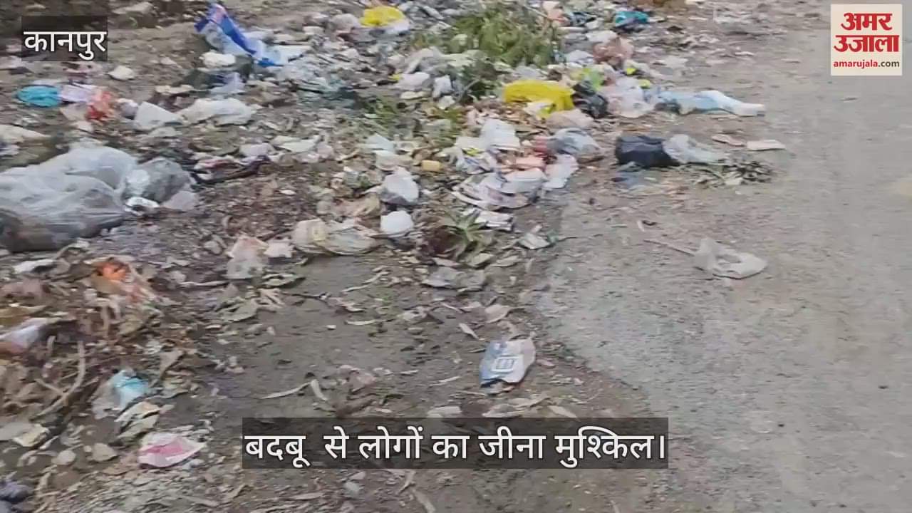 कानपुर में एयरफोर्स गेट के सामने कूड़े का अंबार, स्थानीय लोग और बच्चों हैं परेशान