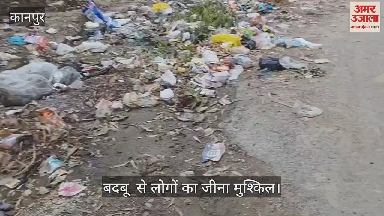 कानपुर में एयरफोर्स गेट के सामने कूड़े का अंबार, स्थानीय लोग और बच्चों हैं परेशान