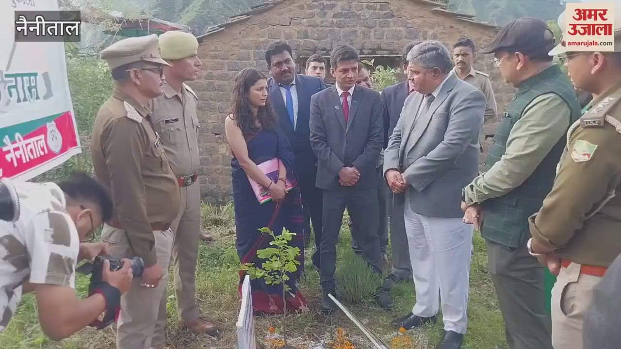 The Chief Justice of the High Court planted a sapling in Hanumangarhi