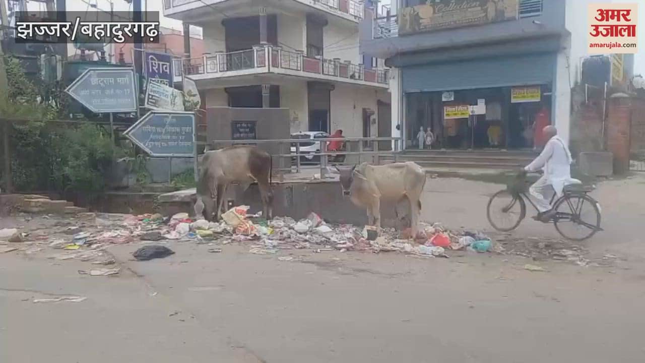 Jhajjar Municipal Council, which was lagging behind in cleanliness ranking, got 16th rank in the state