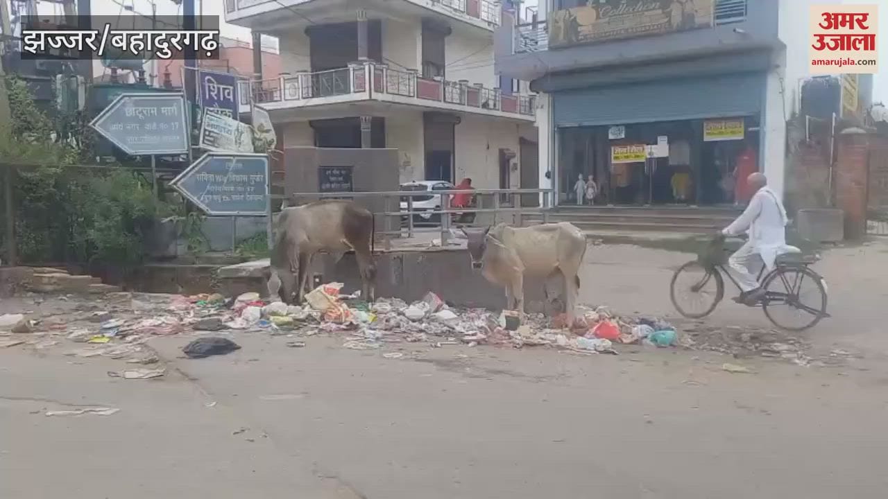 Jhajjar Municipal Council, which was lagging behind in cleanliness ranking, got 16th rank in the state