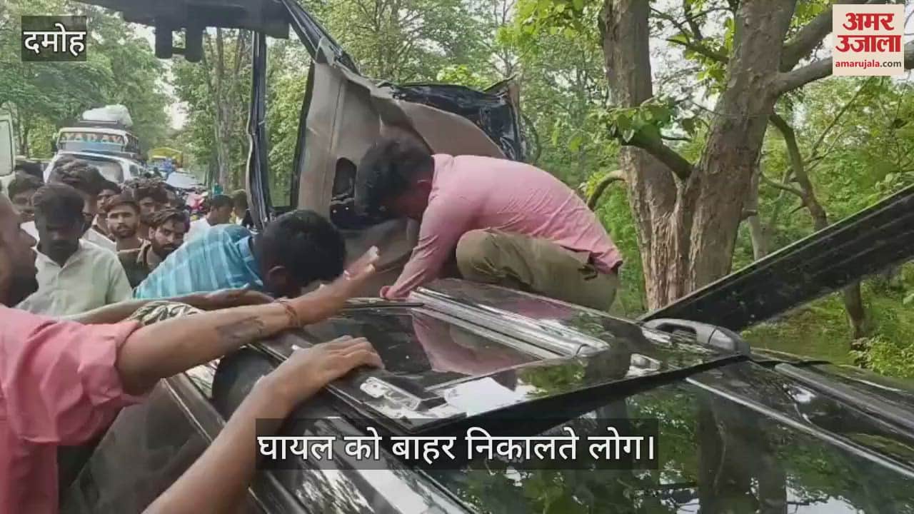 Bolero collided with a tree while saving a herd of monkeys