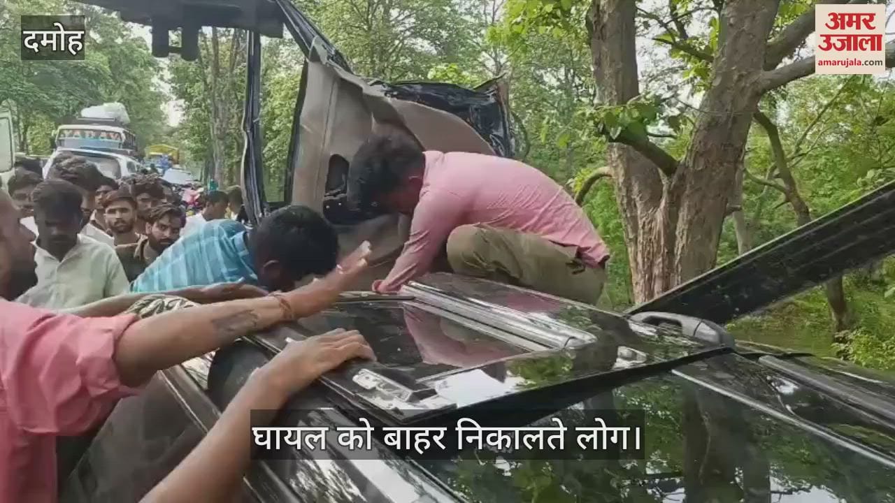 Bolero collided with a tree while saving a herd of monkeys