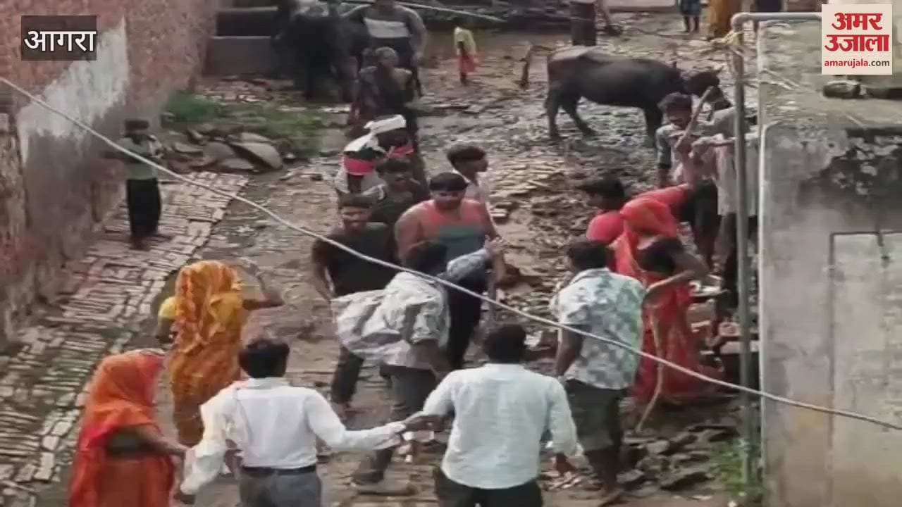 Chaos over tying animals in the street