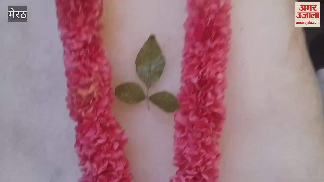 Baba Barfanis stunning ice tableau attracts crowd at Loha Mandi, Meerut