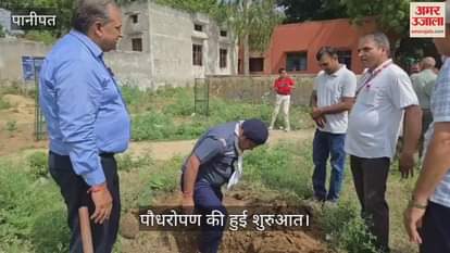 Tree plantation in Panipat
