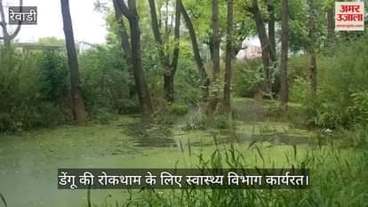 Health department working to prevent dengue