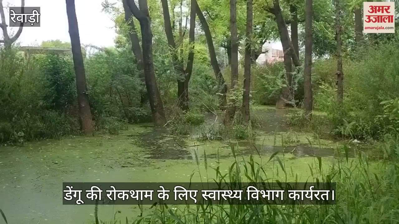 Health department working to prevent dengue