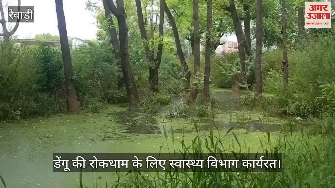 Health department working to prevent dengue