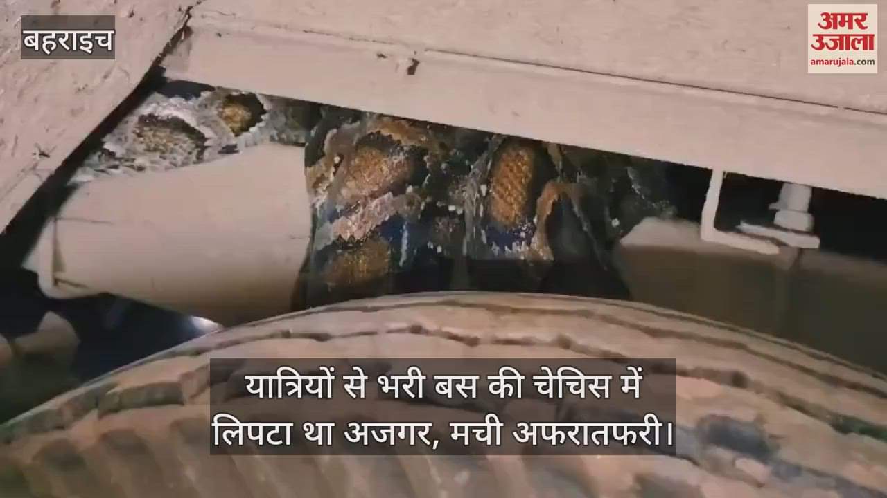 बहराइच में यात्रियों से भरी बस की चेचिस में लिपटा था अजगर, मची अफरातफरी