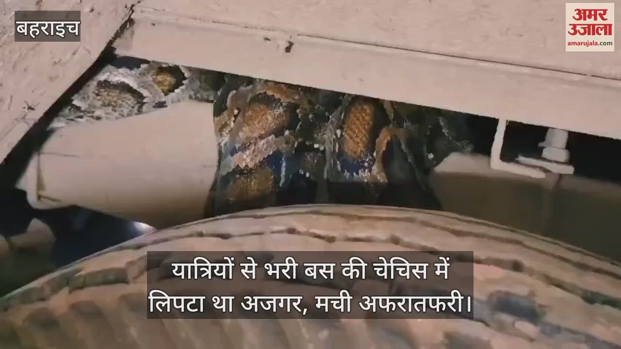 बहराइच में यात्रियों से भरी बस की चेचिस में लिपटा था अजगर, मची अफरातफरी