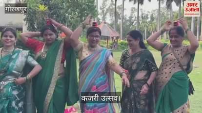 Kajari festival was organized in V Park