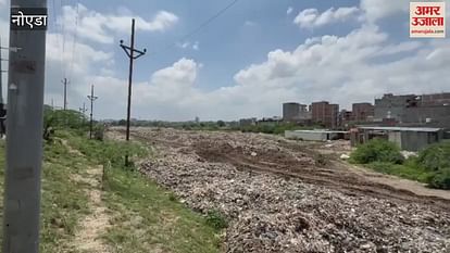 Garbage From Delhi Becomes A Problem For Noida Sector-89 – Amar Ujala Hindi News Live