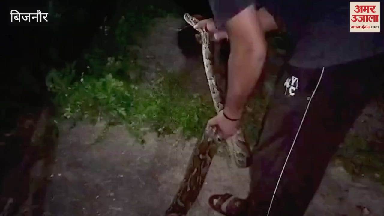 Bijnor: People were left breathless after seeing a 10 feet long Burmese python, team rescued