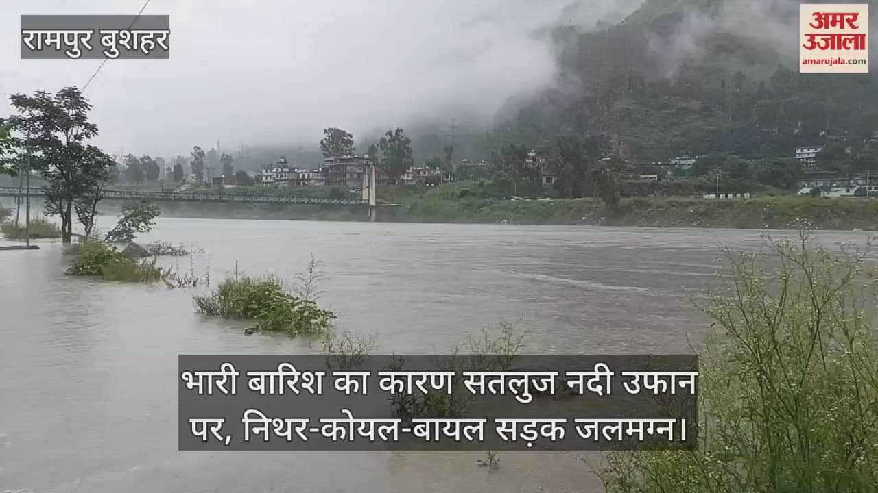 Due to heavy rains, Sutlej river is in spate, Koel-Bayal road is submerged