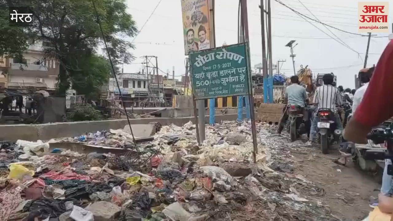 Throwing garbage is prohibited here, written on the board at the garbage