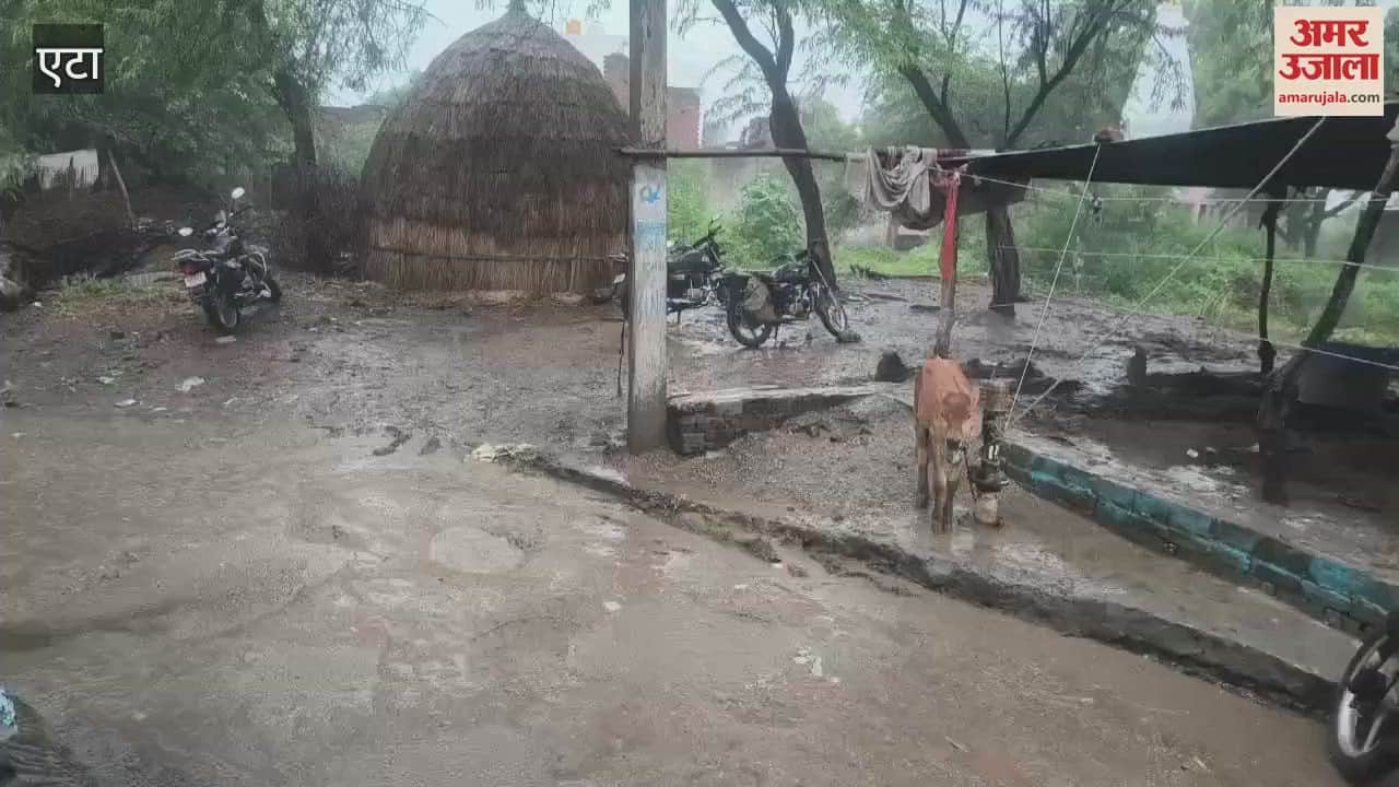 On the second Monday of the month of Savan, it rained heavily, the faces of the farmers lit up