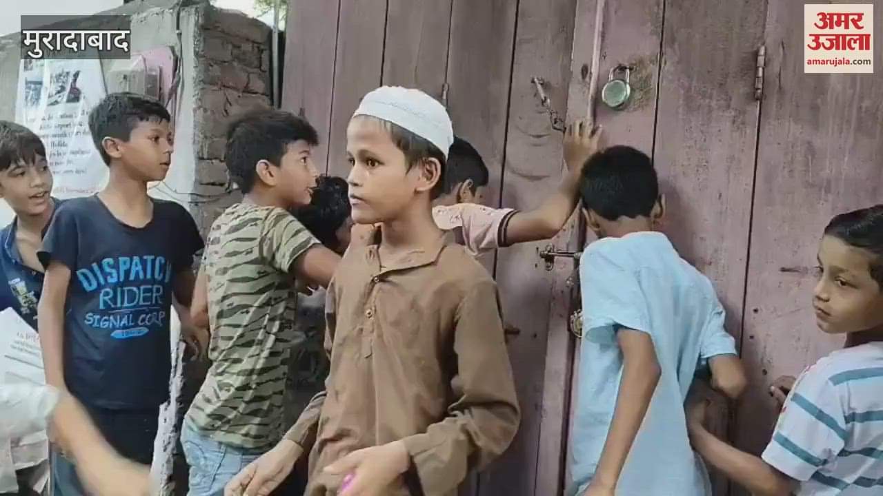 Nilgai entered the shop in front of Jigar Park, Kanha Gaushala team rescued it after it got injured