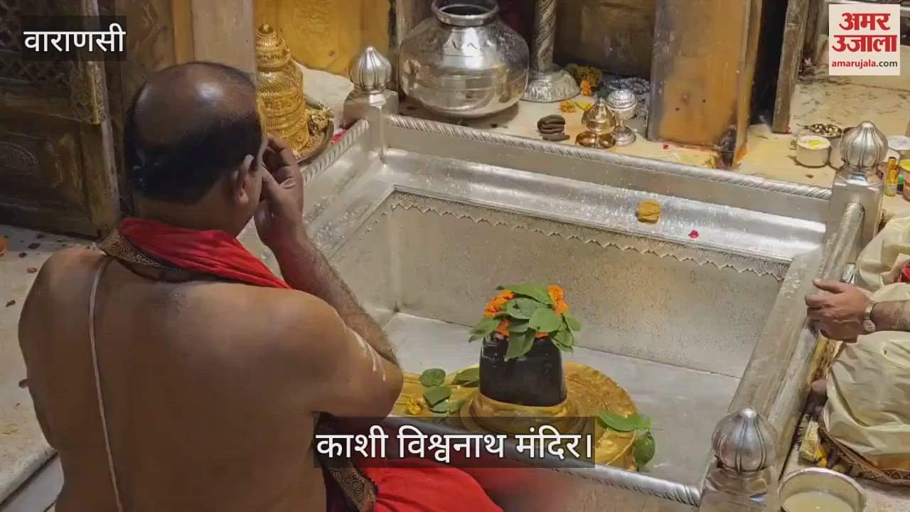 Baba Kashi Vishwanath darshan in form of Gauri Shankar