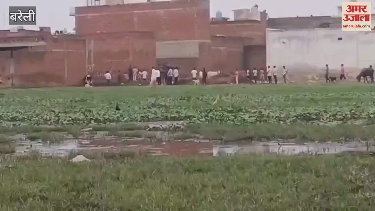 goons created a ruckus in Bareilly Faridpur