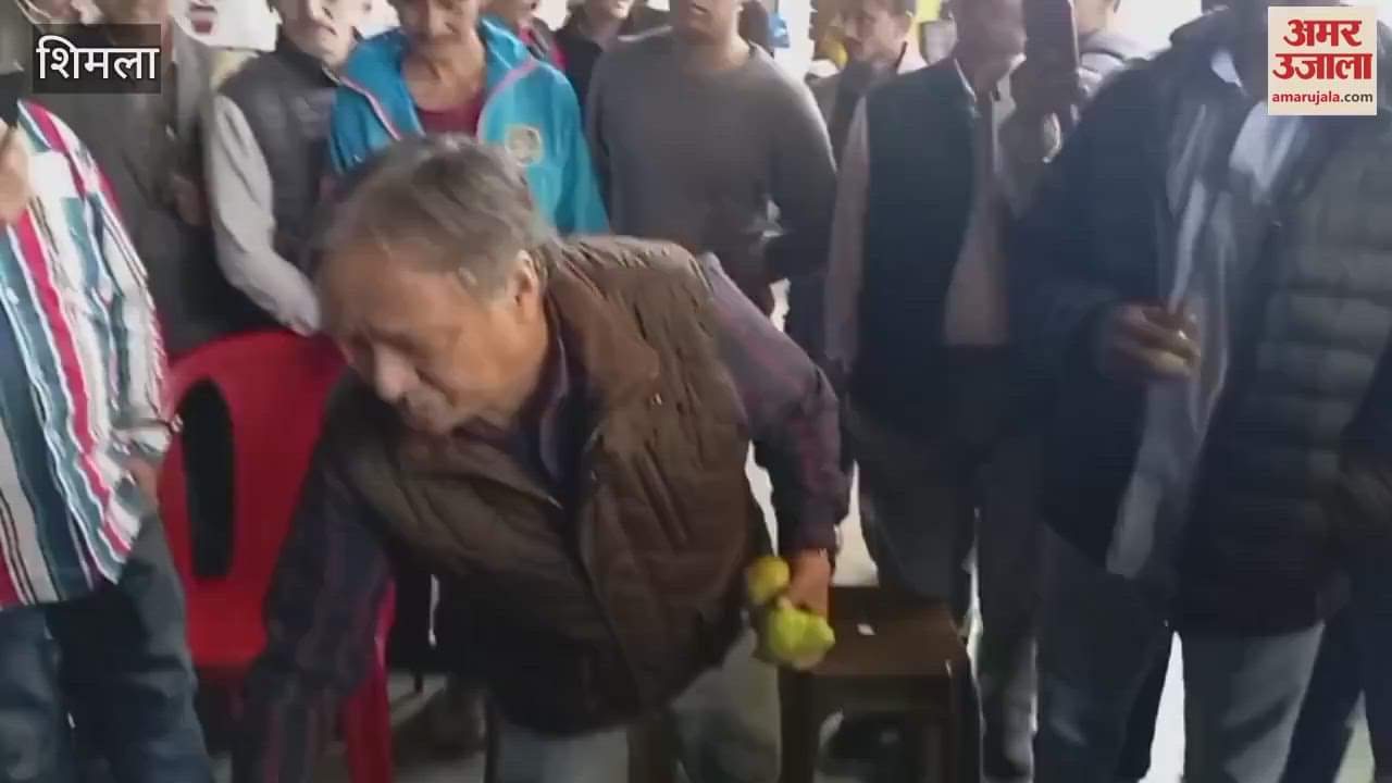 Shimla A box of Bar Gumnd pears sold for Rs 2500 in Bhattakufar fruit market