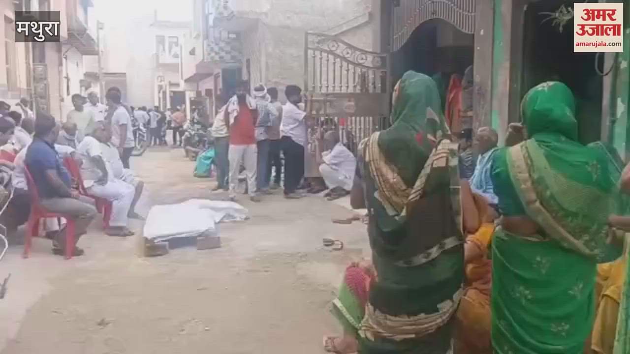 teenager was bitten by snake for second time in 15 days in mathura