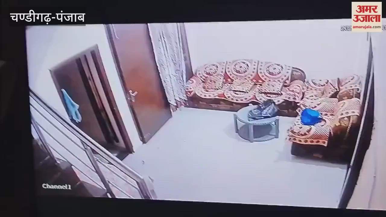 Three houses burgled in one night in Kapurthala